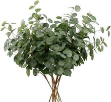 Künstliche Eukalyptus Zweige Set für Deko & Tischdeko