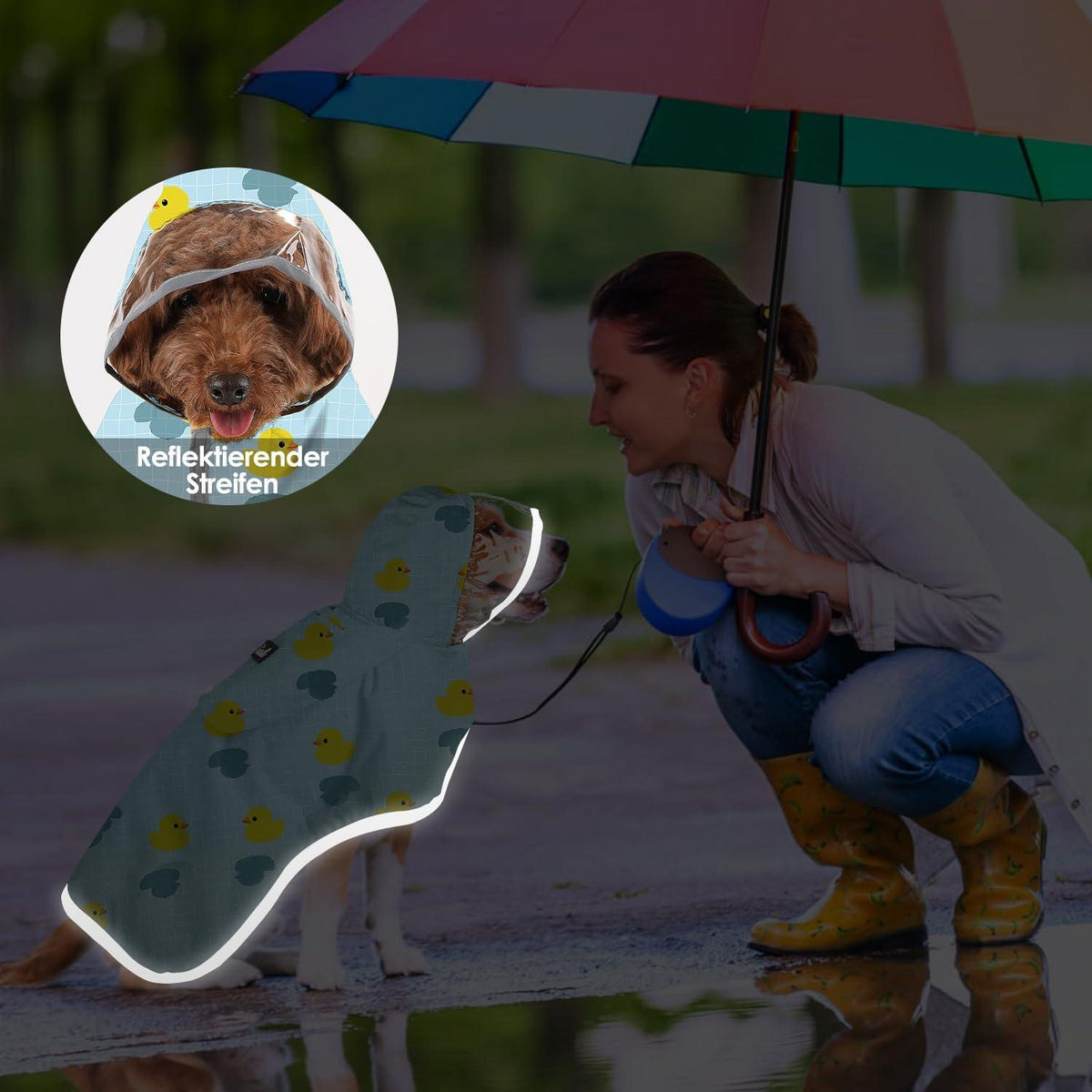Wasserdichter Regenmantel Hund mit transparenter