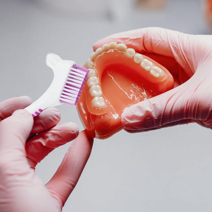 Zahnersatz-Reinigungsbürste Set Premium Hygiene grün lila 2