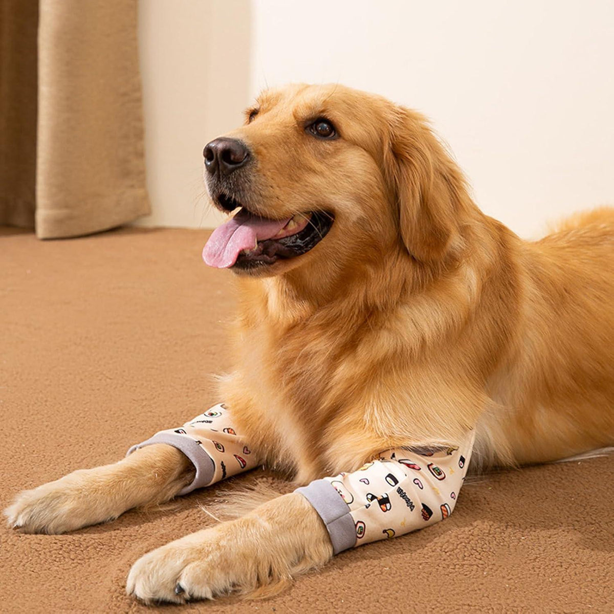 Hund Ellenbogenbandage Erholung Sleeve Vorderbeine Arthrose Gelb XXL