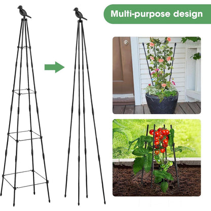 Metall Obelisk Rankhilfe 165cm für Kletterpflanzen & Rosen (2er Set)