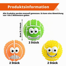 Quietschbälle für Hunde – 6er Set, Robust & Bouncy