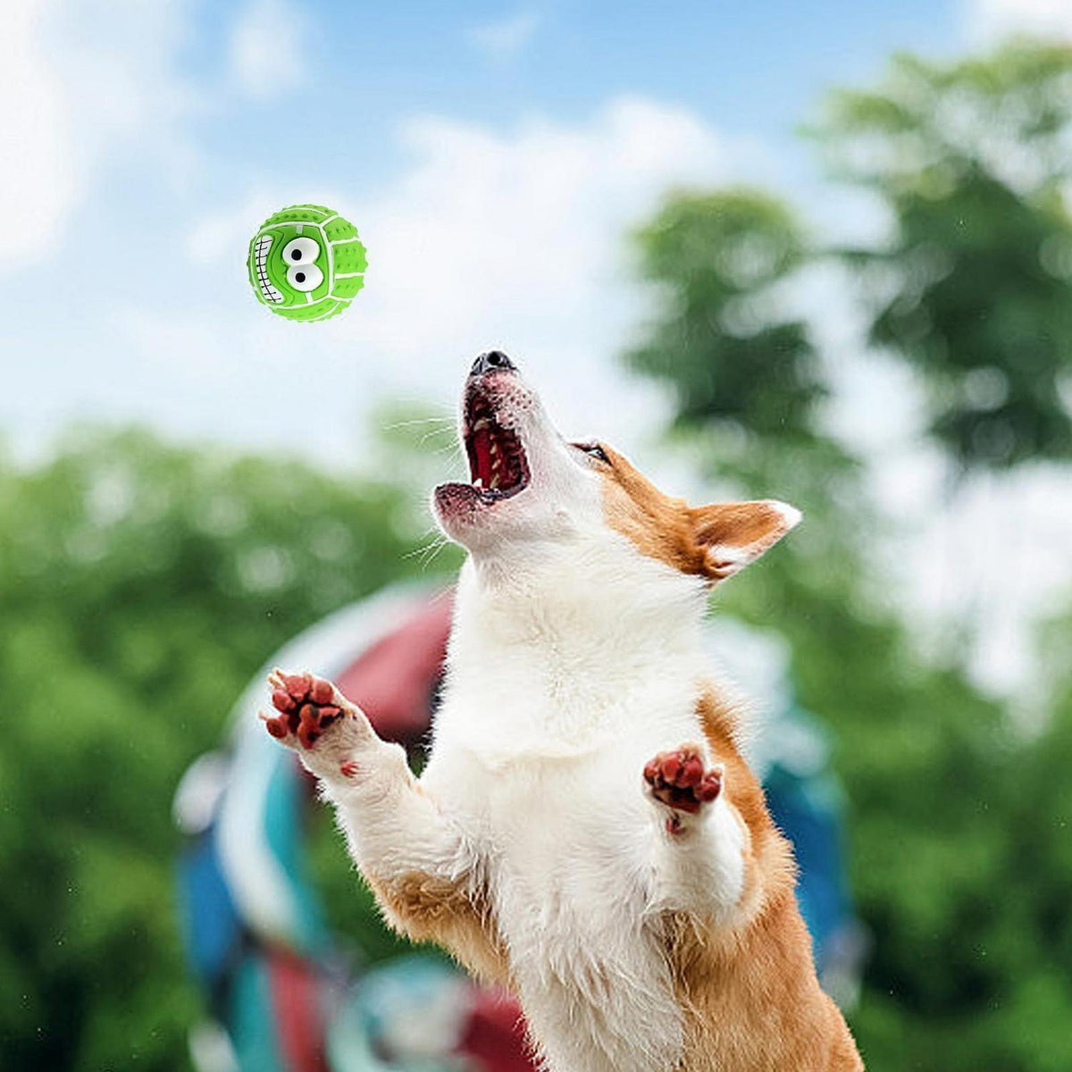 Quietschbälle für Hunde – 6er Set, Robust & Bouncy