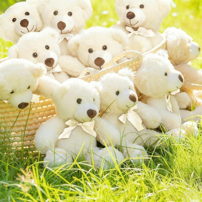 13,5 Zoll Teddybär Plüschtier - 10er Set Weiß