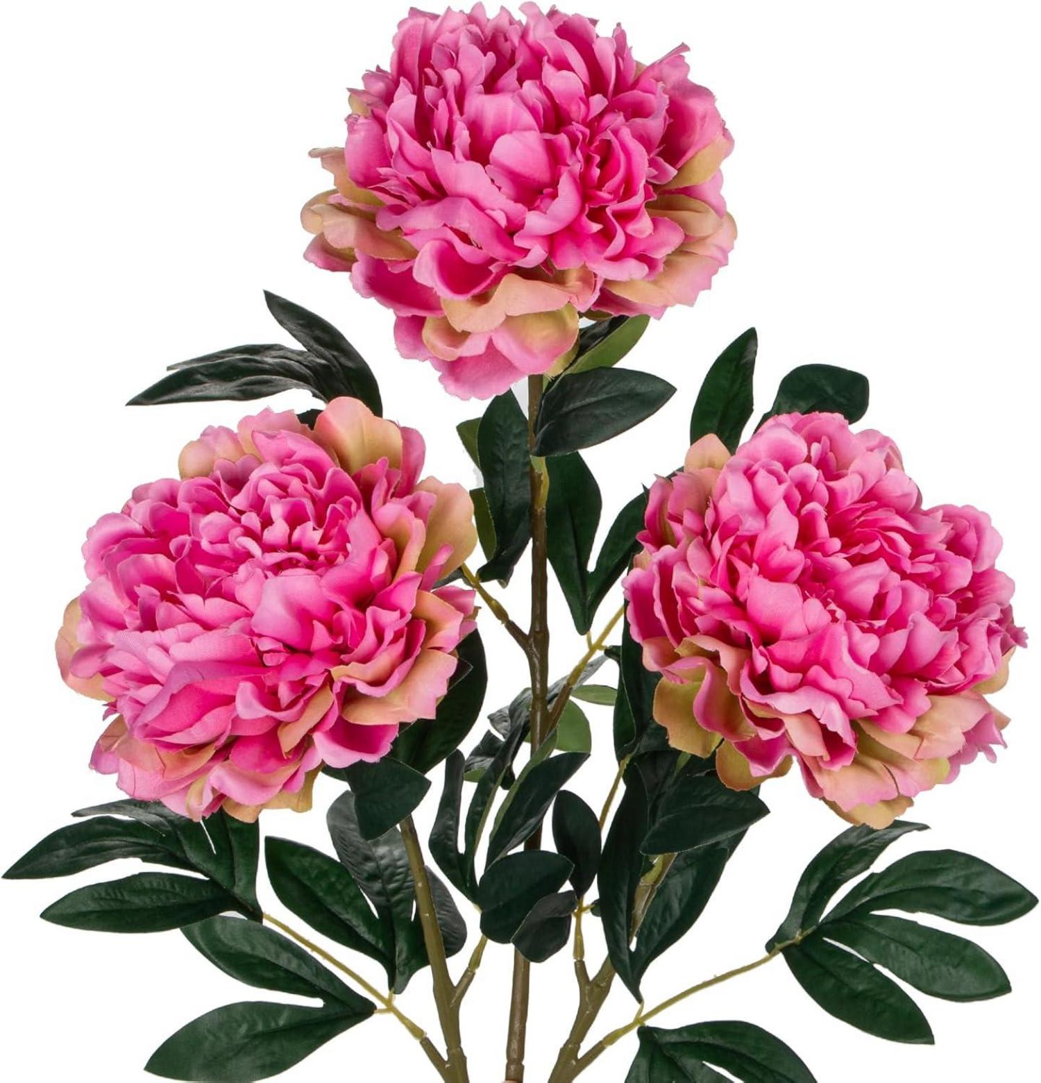 Künstliche Pfingstrosen Stiel 74cm 3er Set Vintage Bouquet