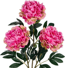 Künstliche Pfingstrosen Stiel 74cm 3er Set Vintage Bouquet