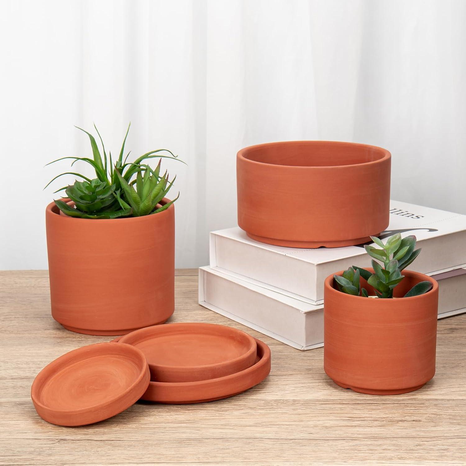 Terrakotta Tontöpfe 3er Set Sukkulenten Pflanztöpfe