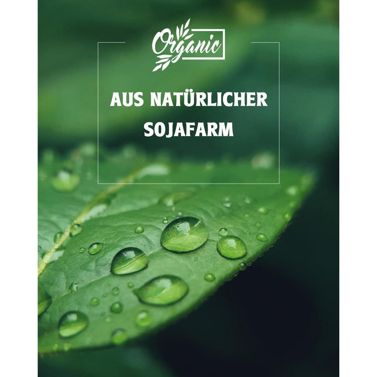 Sojawachs für Kerzen 10kg, Premium Bio Kerzenwachs zum Selbermachen