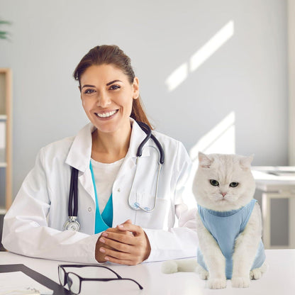 Katzenbody Erholungsanzug Modal Recovery Kastration Spay Leckschutz