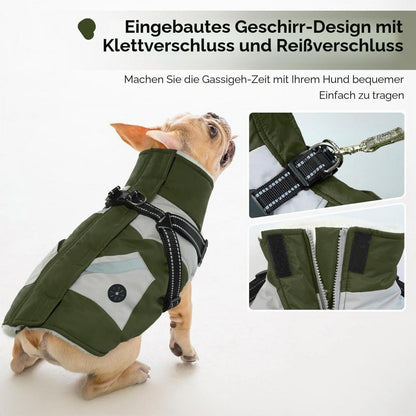 Winterhundemantel Mittel – Wasserdicht & Warm mit Geschirr (Grün, M)