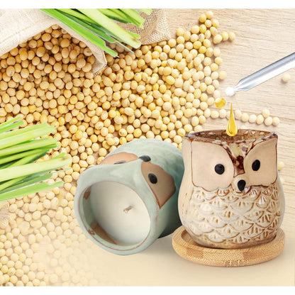 Citronella Duftkerzen Set Geschenkset Frauen Eulen 6 Stück