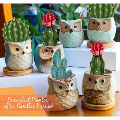 Citronella Duftkerzen Set Geschenkset Frauen Eulen 6 Stück