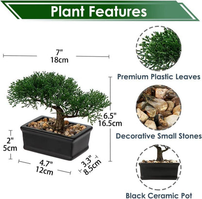 Kunstbonsai Zeder Künstliche Pflanze Schwarz Keramikübertopf