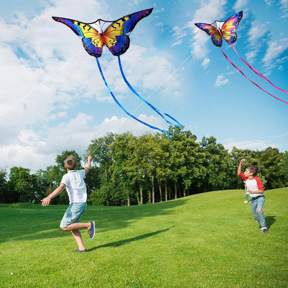 Schmetterling Drachen für Kinder und Erwachsene 120x95cm Rainbow