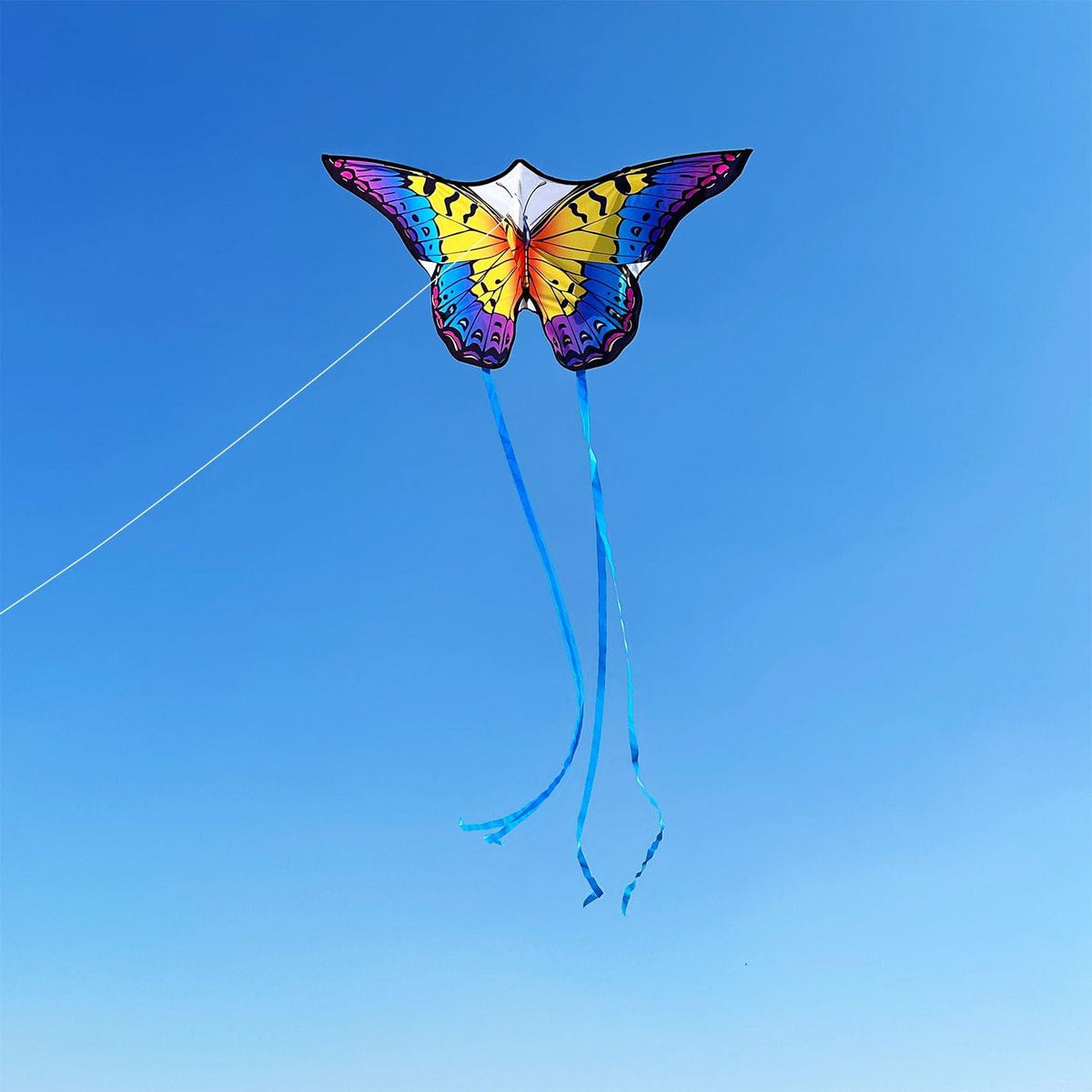 Butterfly Drachen für Kinder und Erwachsene, 120x95cm, Regenbogen-Schmetterling