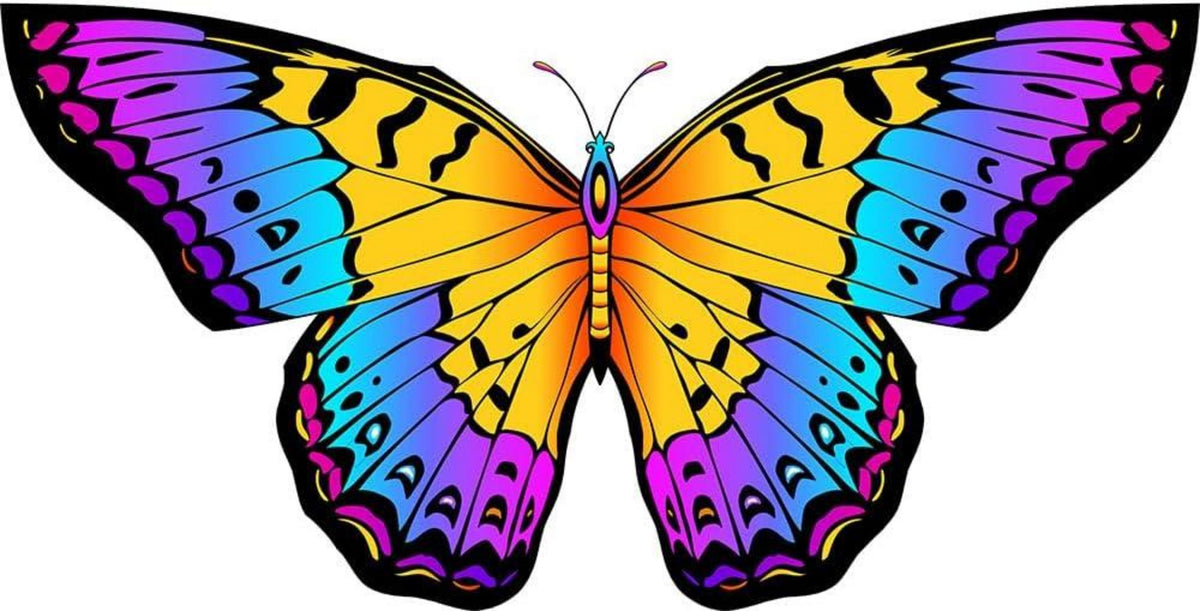 Schmetterling Drachen flugdrachen Kinder Erwachsene 120x95cm
