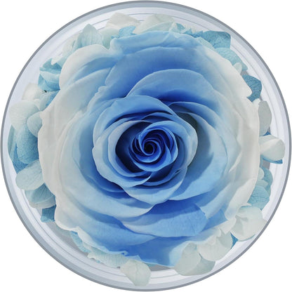 Ewige Rose Engel Figur Glaskuppel Rote Rose Muttertagsgeschenk