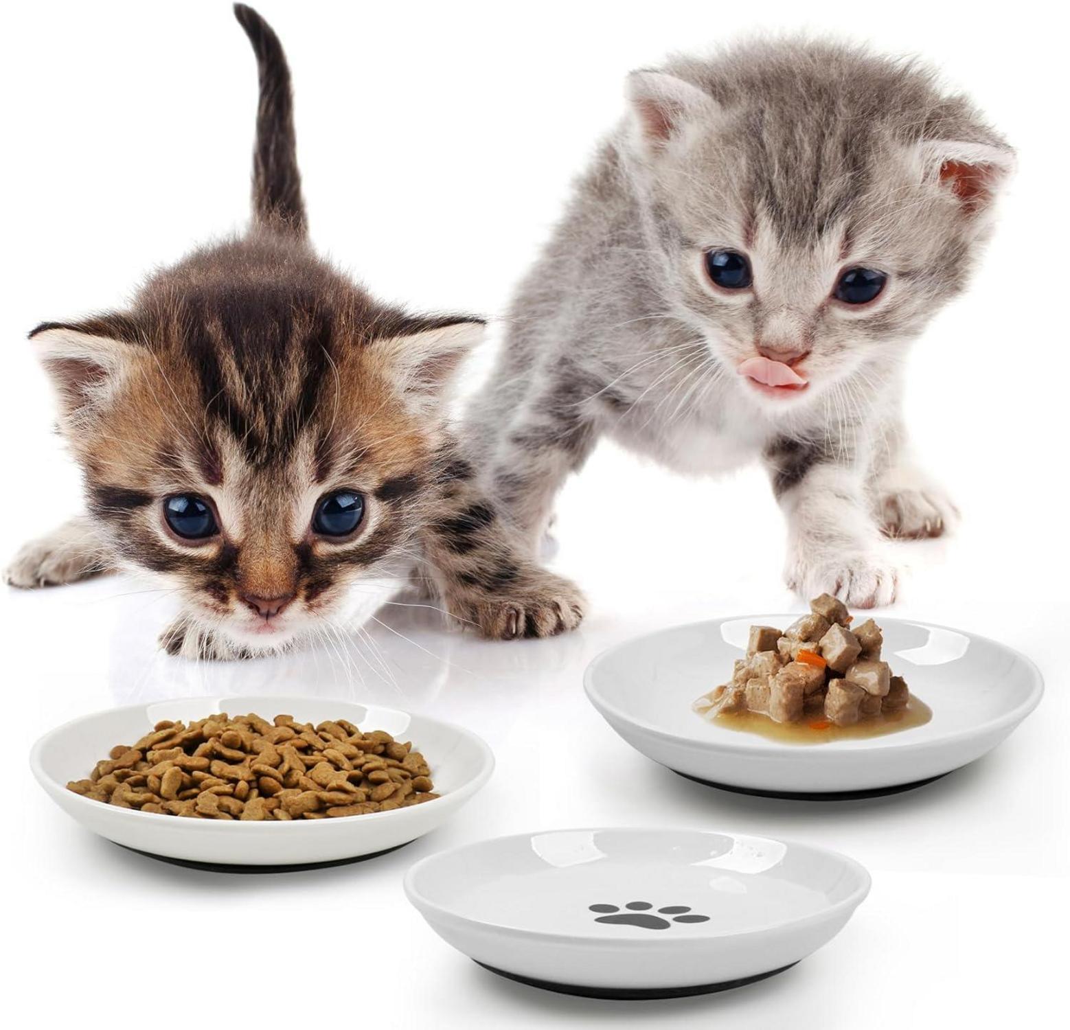 Keramik Futternapf Katze Set 6 Stück Rutschfester Silikon Katzennapf