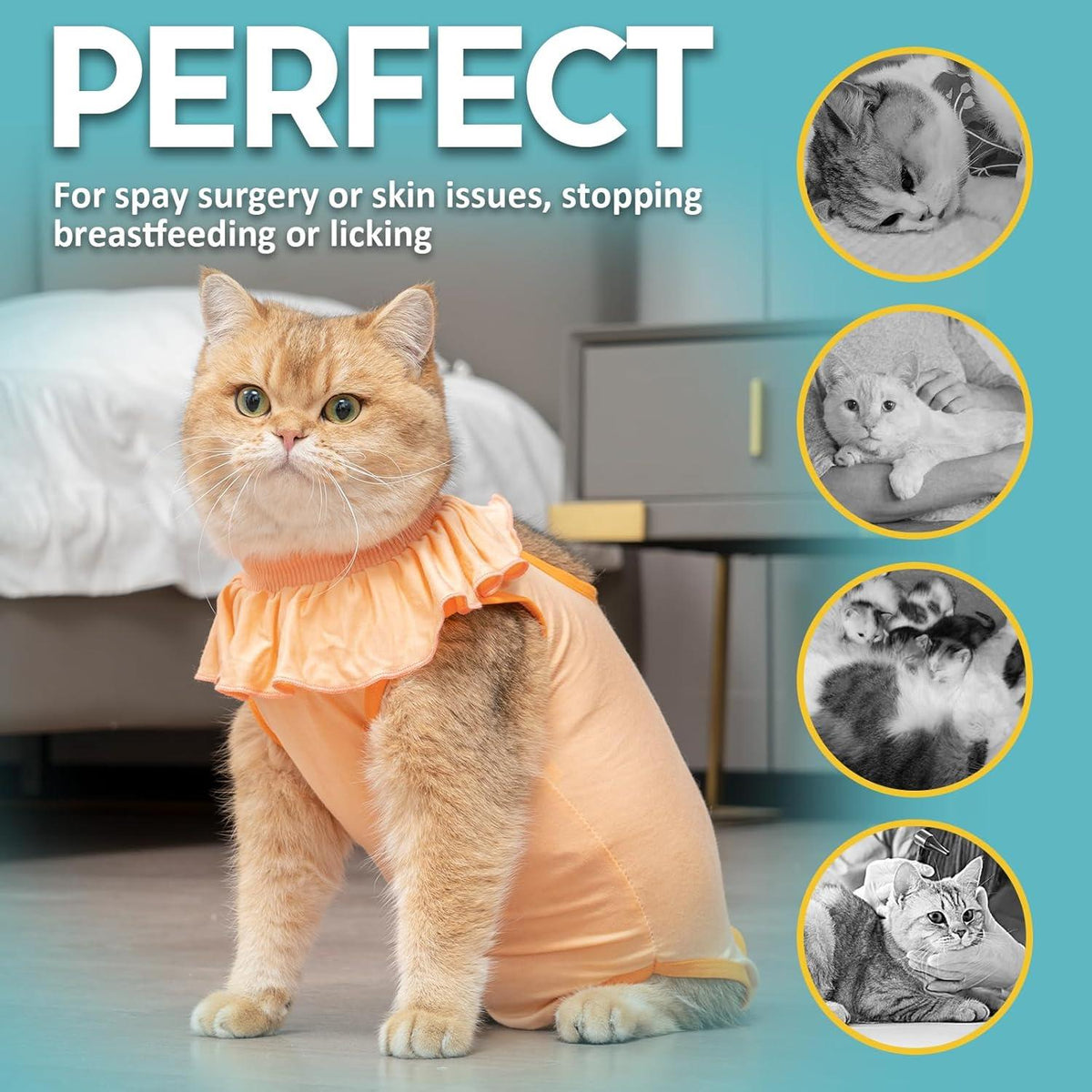 Katzenbody Erholungsanzug Post-OP Modal Leckschutz Suit MEDIUM Apricot