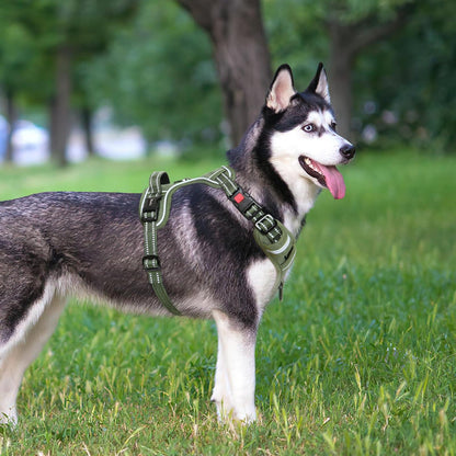 Hundegeschirr Brustgeschirr Grün XL mit Schloss & Reflektor