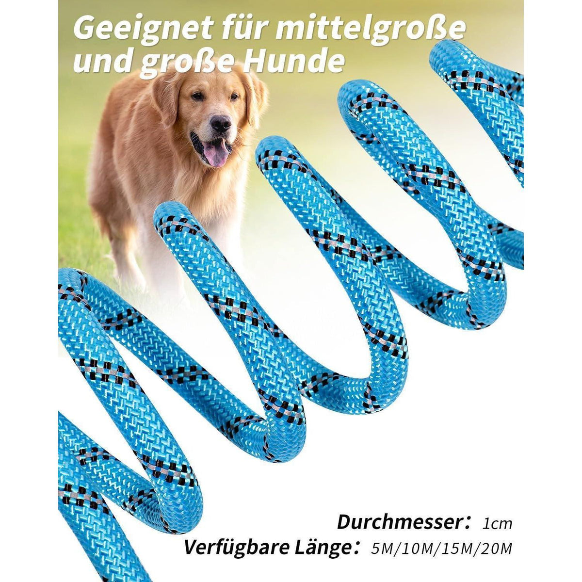 Joytale Schleppleine für Hunde, Gepolsterter Griff, Abschließbarer Karabiner, Blau, 10m
