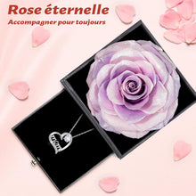 Ewige Rosen Geschenkset für Mama mit Silber Halskette Rose
