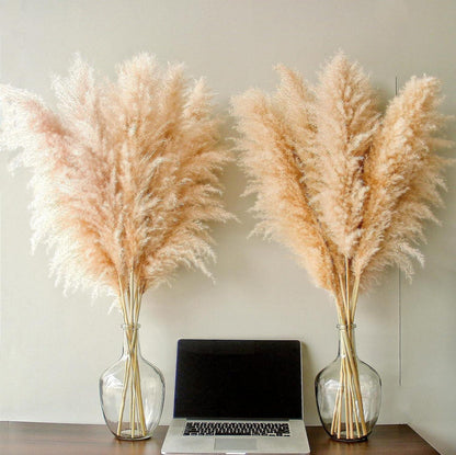 20er Set Pampas Grass Deko Groß XXL Trockenblumen Boho Hochzeit 100cm