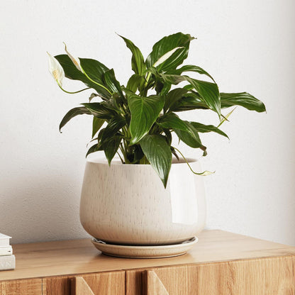 Keramik Blumentopf 25cm mit Untersetzer – Beige Reaktive Glasur