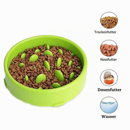 2x Anti-Schling Napf für Hunde & Katzen – Slow Feeder
