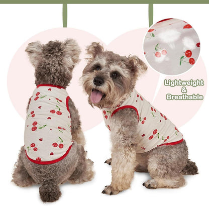 Hjumarayan Hundepullover XS Kirschenrot Chihuahua Yorkshire Terrier Kleine Hunde