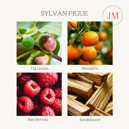Duftkerze Sylvan Figue 285g - Natürliche Sojakerze im Glas, 75
