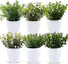 Künstliche Mini Eukalyptus Deko Pflanzen 6er Set - Innen Deko