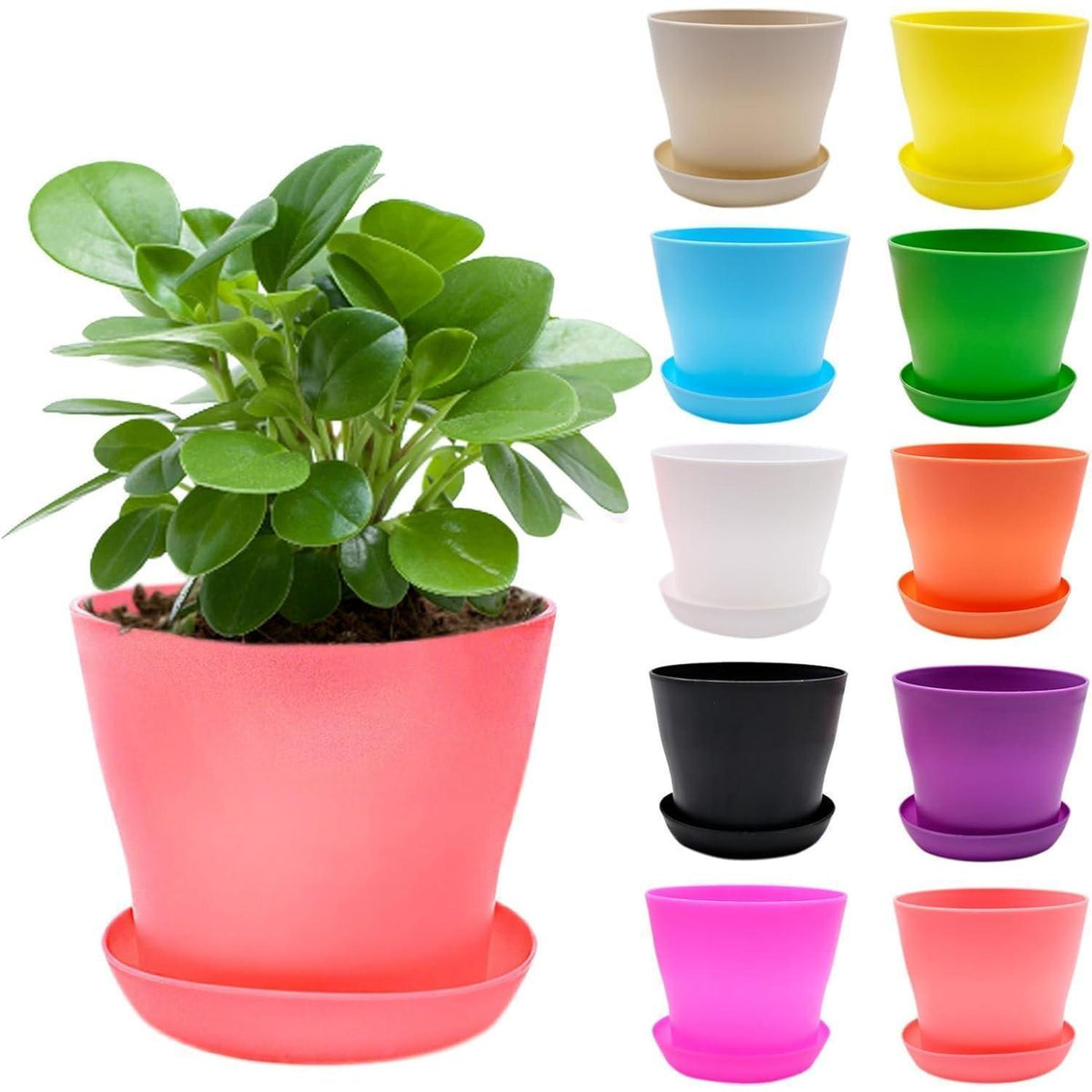 10x Blumentopf Set mit Untersetzer | 10cm Pflanztopf Bunt