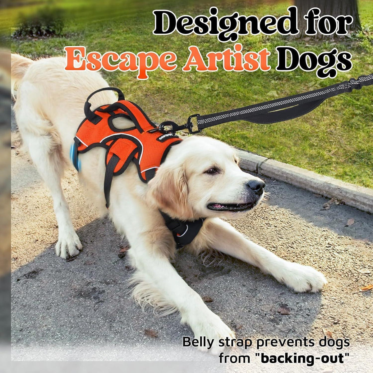 Ausbruchsicheres Hundegeschirr mit Griff, Orange XL
