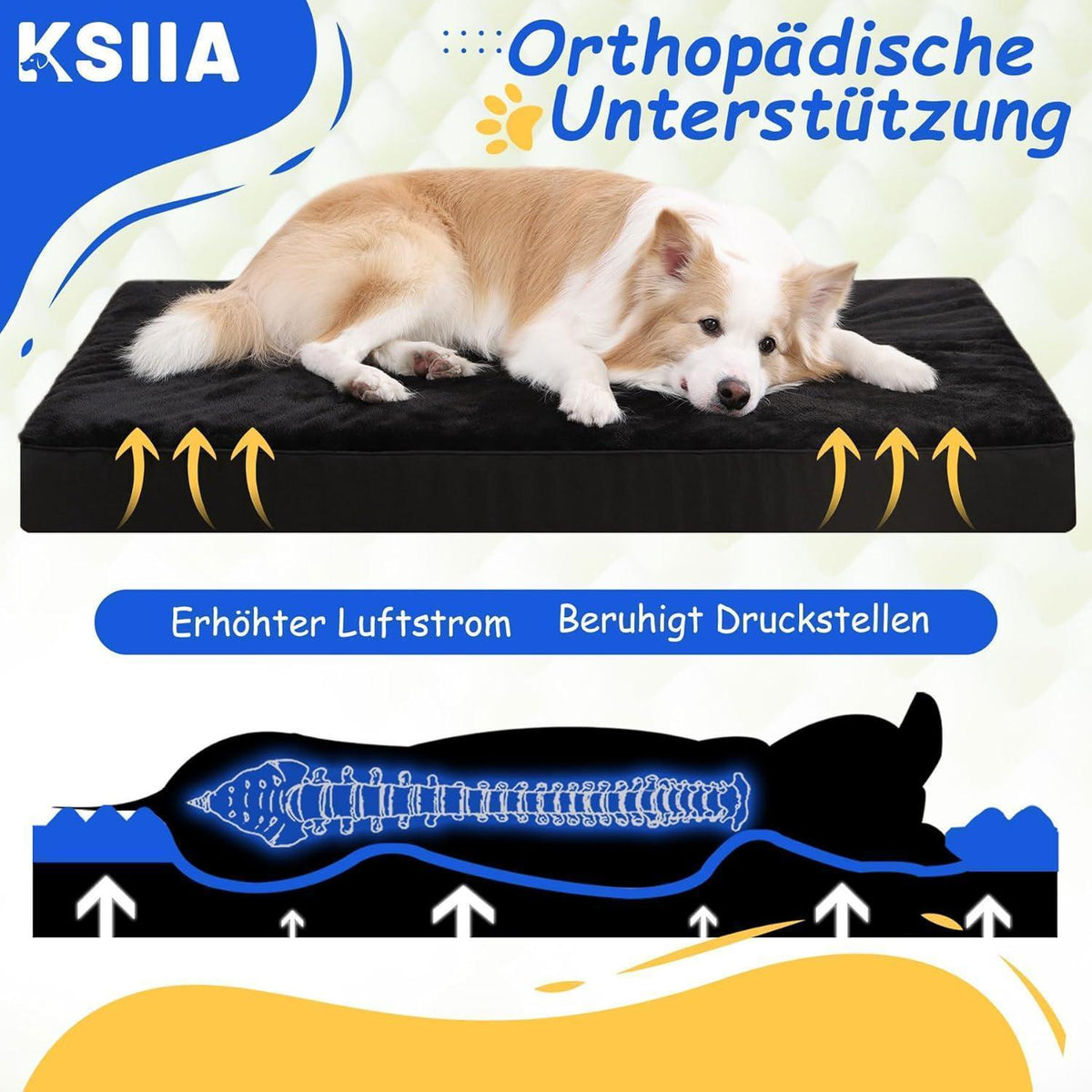 Orthopädisches Hundebett mit abnehmbarem Bezug, waschbar, L