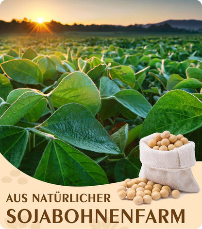 Natürliches Sojawachs für Kerzen gießen 5KG SEO Bio Kerzenwachs