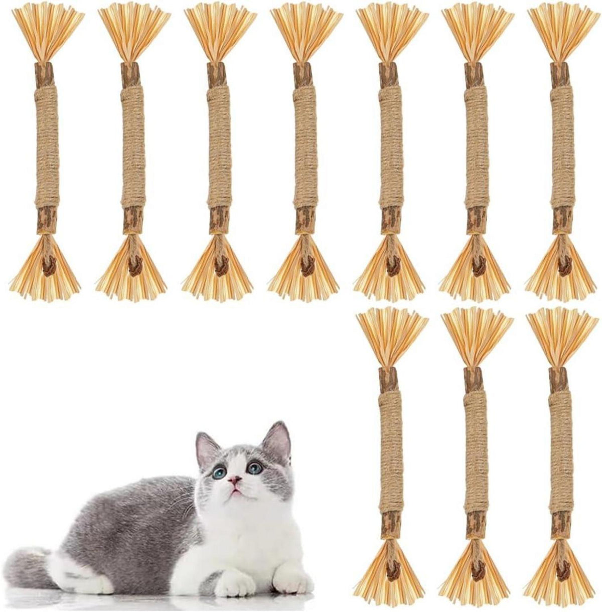 Katzenminze Sticks Interaktives Katzenspielzeug Zahnpflege