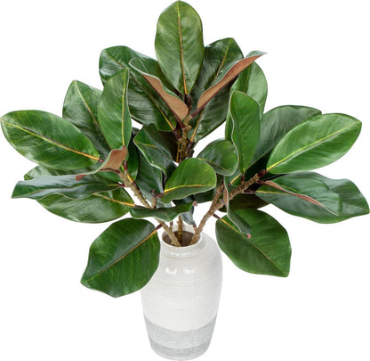 Künstliche Magnolie Blumen Spray 5PCS 64cm mit 5 Blüten