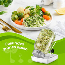 Hydroponische Sprossen Keimgläser 3er Set mit Filterdeckel