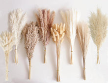 Getrocknetes Pampasgras-Bouquet 128 PCS für Hochzeiten