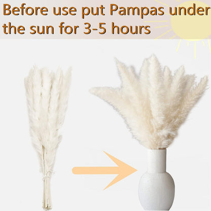 Getrocknetes Pampasgras-Bouquet 128 PCS für Hochzeiten und Partys