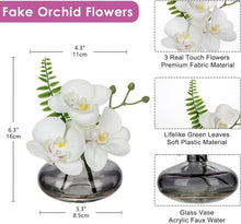 Kunstorchidee 3er Set Kunstblumen Phalaenopsis Glasvase 16cm