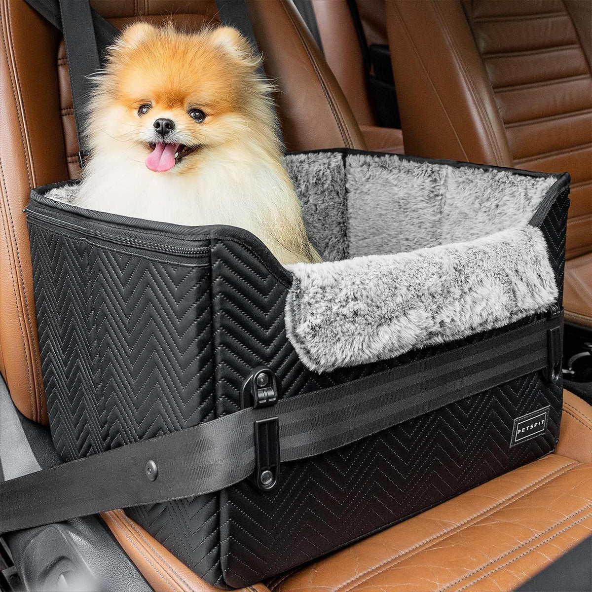 Hunde Autositz für kleine Hunde – Sicher & Komfortabel