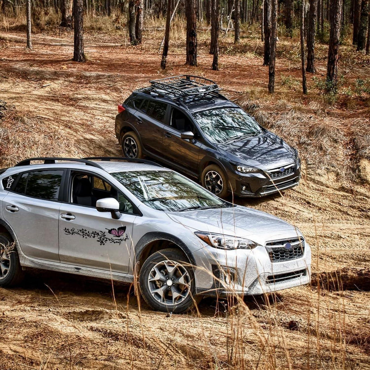 2x Schmetterlings-Aufkleber Auto Blumen Schwarz Rosa