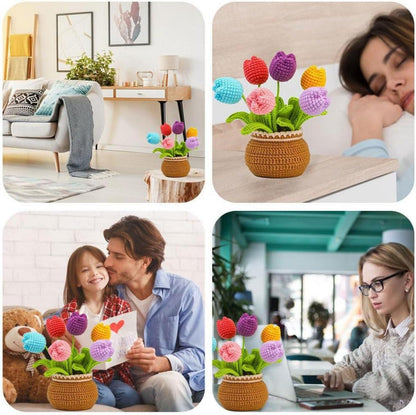 Häkelset für Anfänger: Tulpen Häkelset mit Videoanleitung