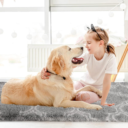 Hochflor Teppich Grau 240x300 – Flauschiger Wohnzimmerteppich Waschbar
