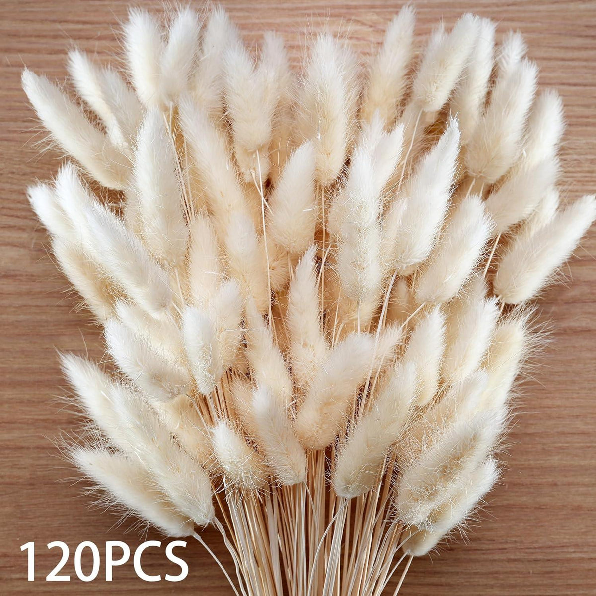 Pampas Trockenblumen Set 120 Stück Herbst Hochzeit Deko Weiß Beige