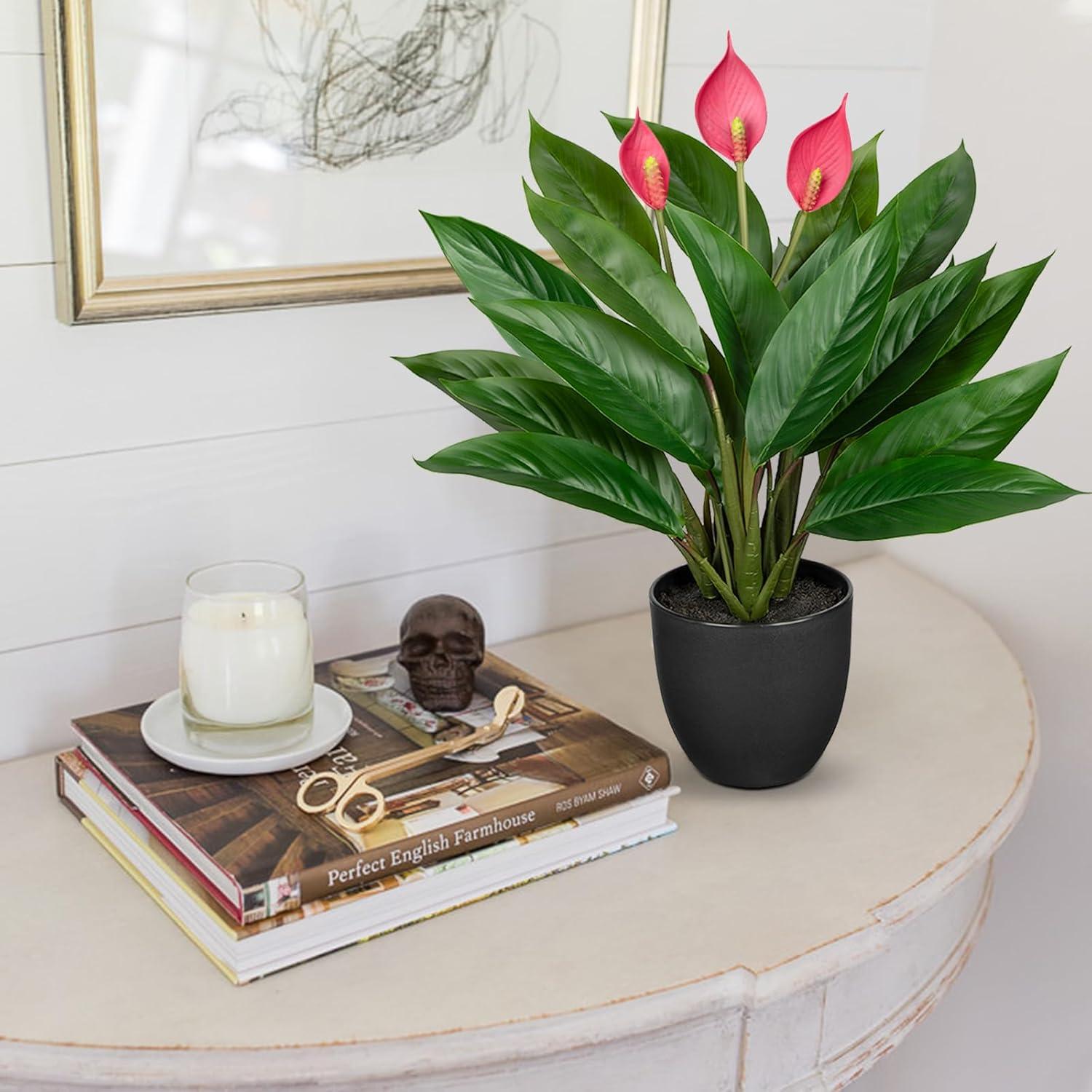 Künstliche Calathea Kunstpflanze 43cm grün mit 22 Blättern im Kunststofftopf