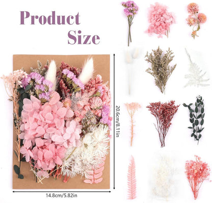 Getrocknete Trockenblumen Natur Gemischt DIY Basteln Scrapbook Zubehör Rosa