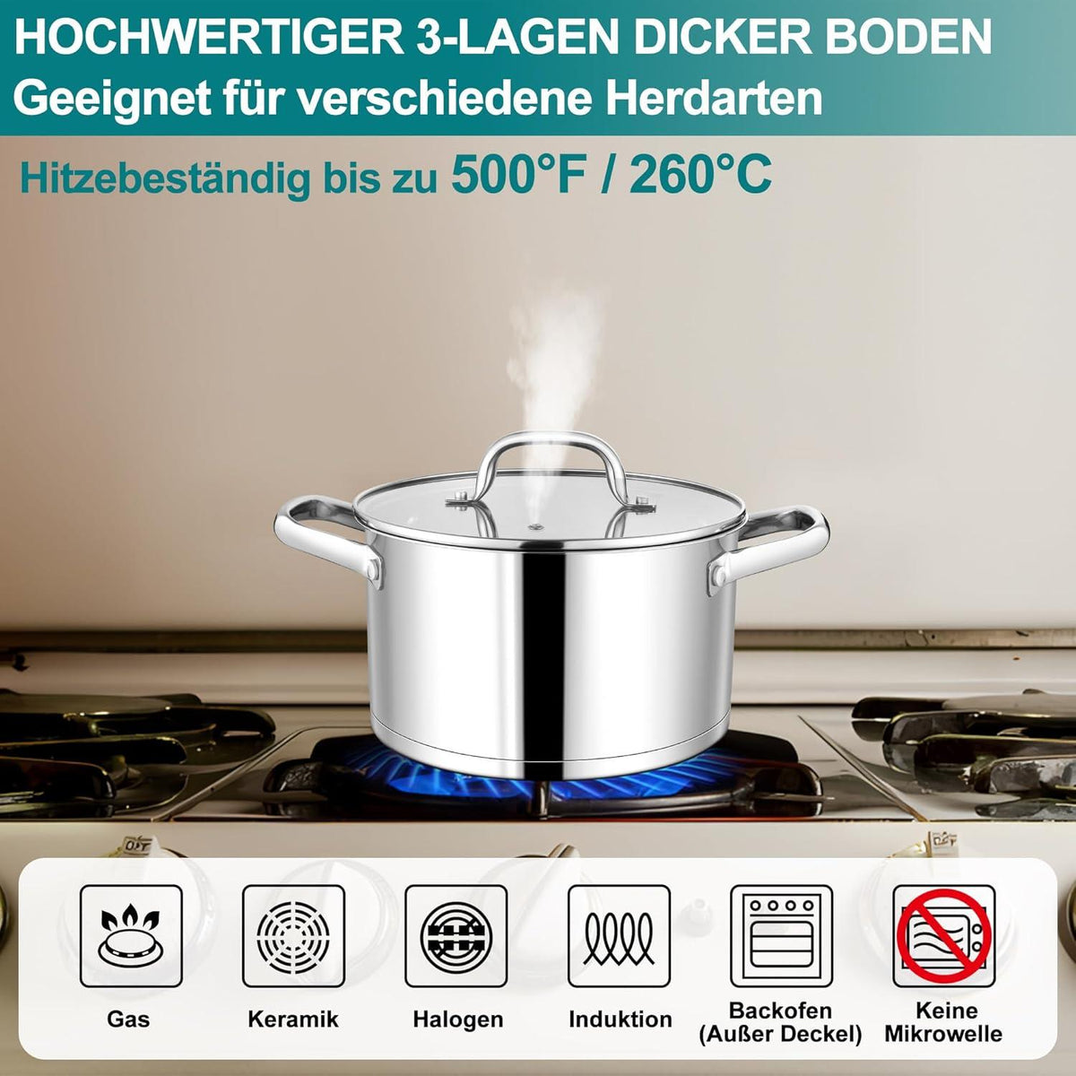 Homikit 20cm Kochtopf Edelstahl Induktion Glasdeckel 3,8L